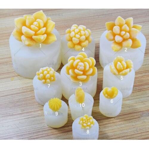 3D succulent cake decoration silicone mold poly meat dessert jelly mould chocolate fondant DIY
