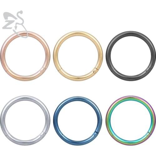 ZS 8PCS Stainless Steel Nose Ring Ear Cartilage Tragus Helix Lip Piercing Nose Rings & Studs Rainbow Gold Black Punk Jewelry