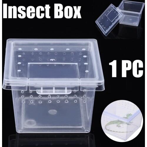 1pc Reptiles Insect Box Clear Plastic Insect Reptile Box For Insect Supplies Transport Breeding Feeding Cases