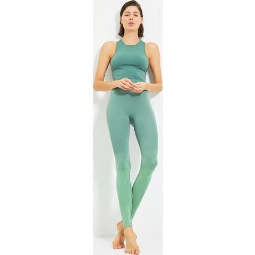 Trendyol Color Pass Seamless Sports Leggings TWOAW22TY0042