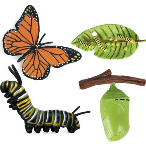 Kids Cognitive Educational Toys Simulation Animal Insect Model Mini Animal Butterfly Growth Cycle Ornaments
