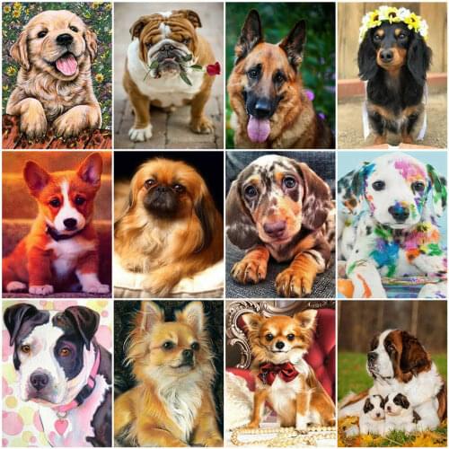 AZQSD Paint By Number Canvas Painting Kits Dog DIY Unframe Unique Gift Coloring By Numbers Animal Acrylic Paint Decor For Home