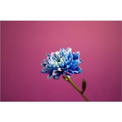 Flowers Series Natural Scenery Photography Background Baby Photo Backdrop Studio Props Supplies Party Home Decoration