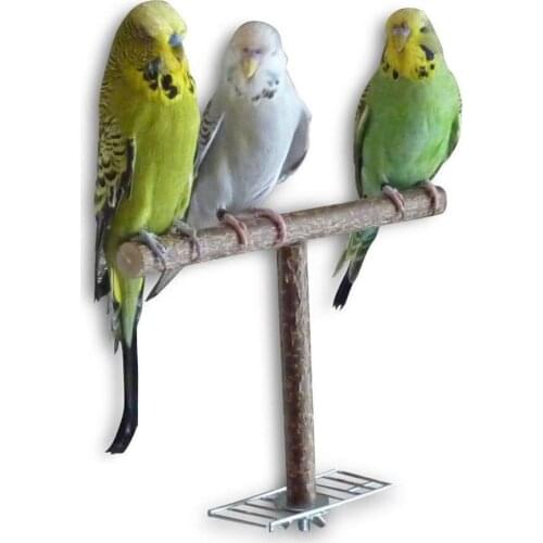 Parrot Wooden Tabletop Perch Bird Stand Training Exercise Sisal Claw Feet Grinding Stick Bird Bite Chew Toys New Arrrival