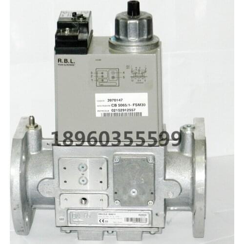DMV-DLE5065/11 eco DUNGS Dongsi|Gas solenoid valve combination valve group DMV-D5065/11