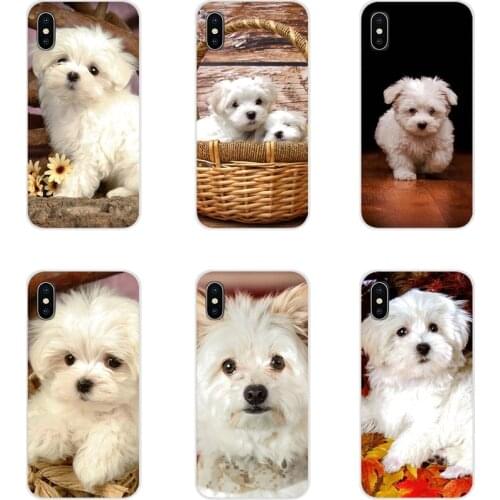 For Huawei G7 G8 P7 P8 P9 P10 P20 P30 Lite Mini Pro P Smart Plus 2017 2018 2019 cute white maltese dog puppies Clear Case Design