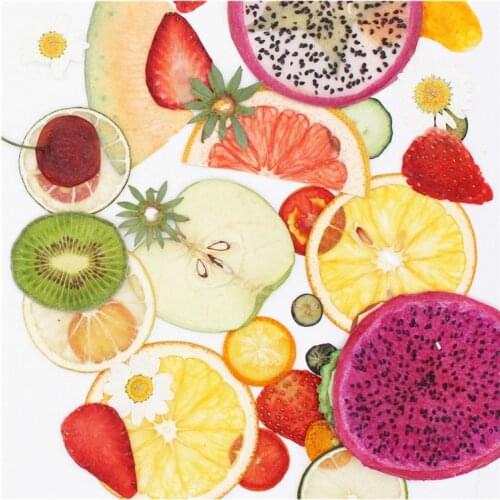 Dried Pressed Fruit Vegetable Slice Plant Herbarium For Jewelry Postcard Invitation Card Phone Case Bookmark Candle Bookmark DIY