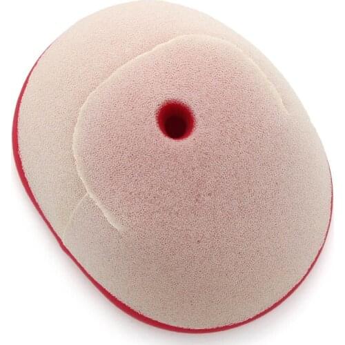 Air Filter Intake Air Cleaner Element For Yamaha YFM125 Grizzly 125 YFM125R 125 YFM250R YFM250R2 250 YFA-1 YFS200 2XJ-14451-00