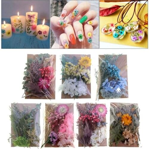 1 Pack Mixed Real Dried Flowers Dry Plants Pressed Flowers for Epoxy Resin Pendant Necklace Jewelry Making Craft DIY Accessories
