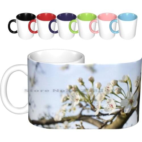 Soft White Ceramic Mugs Coffee Cups Milk Tea Mug Sakura Cherry Blossom Blossoms White Pink Petal Flower Flowers Floral Tree