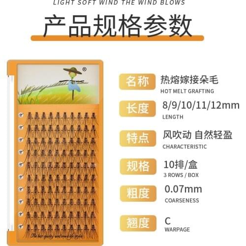 Grafting World 10D Individual Eyelash Super Soft 10 lines big tray Flat Eyelash Premade Fan Eyelash Make Up Tools