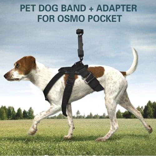 Pet dog band Straps belt Back band for gopro hero osmo action camera dji Osmo Pocket camera Accessories
