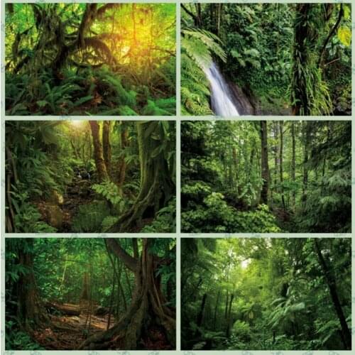 Spring Forest Backdrop for Photography Nature Scene Forest Photo Background Theme Party Decoration Photobooth Props