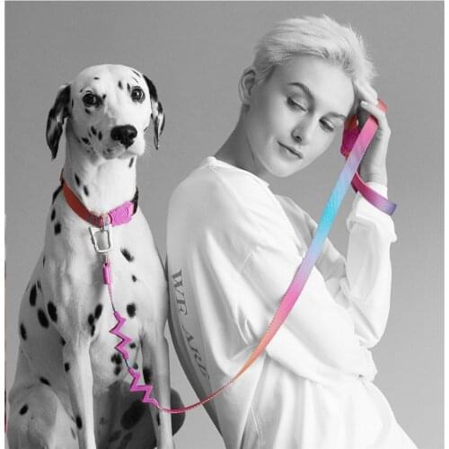 Buffer and shock-absorbing dog leash Wearable dog collar multicolor dog leash dog collar accessories dog harness dog leash