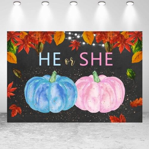 Seekpro He or She Gender Reveal Boy or Girl Background Photographic Kids Birthday Party Backdrop Children For Photo Studio Shoot
