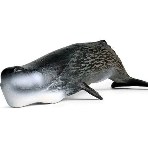 Big Size Spermacet Whale Animal Figure Collectible Toys Sea Animal Cognition Action Figures Kids Plastic Cement Toys