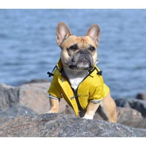French Bulldog Pets Dog RainCoat Waterproof Dog Rainproof Clothes Retro Puppy Pet Outfit Waterproof Jacket Puppy Raincoat