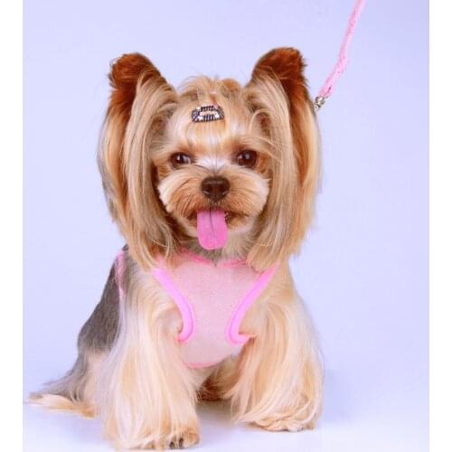 Cute Dog Harness Leash Set for Small Dogs Fashion Mesh Vest Dog Harnesses Pet Leading Rope for Pug Chihuahua Pets Accessory A206