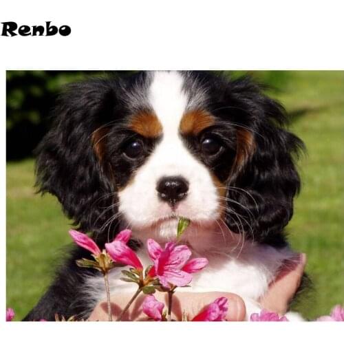 Cavalier King Charles Spaniel pattern diy paint with diamonds paintings mosaic pictures by rhinestones embroidery diamond decor