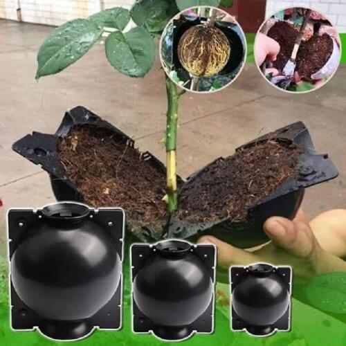 Plant Rooting Device Plant Root Growing Box High Pressure Propagation Transmission Ball High Pressure Box Equipment