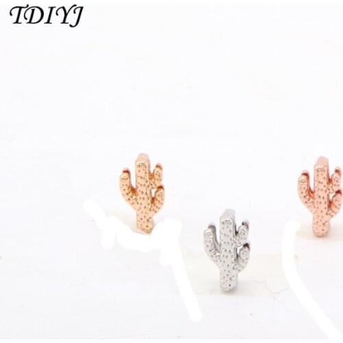 TDIYJ Newest Arrival Fashion Planet Collection Cactus Keeper Charms for Mesh Keeper Bracelet for Women Jewelry 6pcs