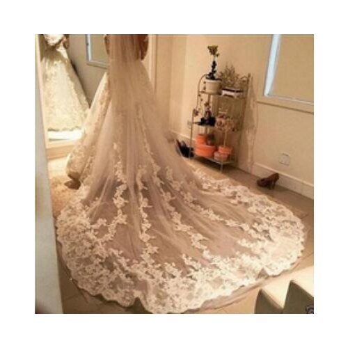 3M Cathedral Length Lace Bridal Veils White/Ivory 1Tier Luxury Wedding veil+comb