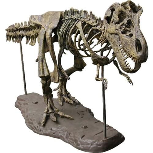 4D simulation tyrannosaurus fossil specimen animal model toy dinosaur assembly skeleton model toy home decoration