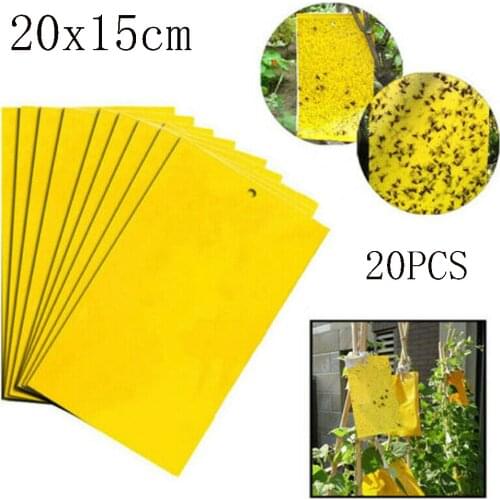 20Pcs Sticky Fly Trap Insect Traps Board Cockroaches Ant Mosquito Glue Pest Flying Insect Traps Catcher Killer Glue Stickers