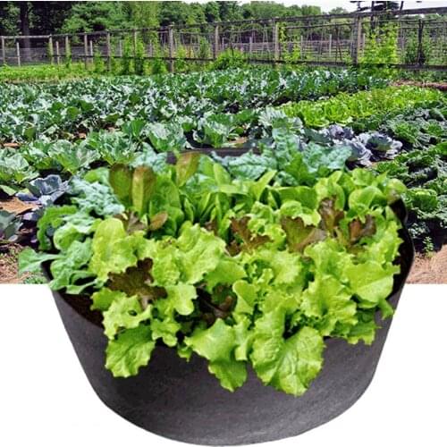 Round Planting Container Good Toughness Wear-resistant High Capacity Practical Planting Bag for Fruit Garden Accessories
