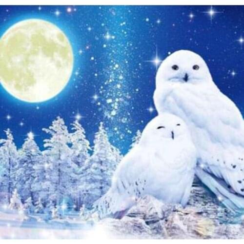 5D DIY Diamond Painting Square/Round Diamond Animal Painting Snow Eagle Picture Cross Stitch Embroidery Decoration Artwork TX107