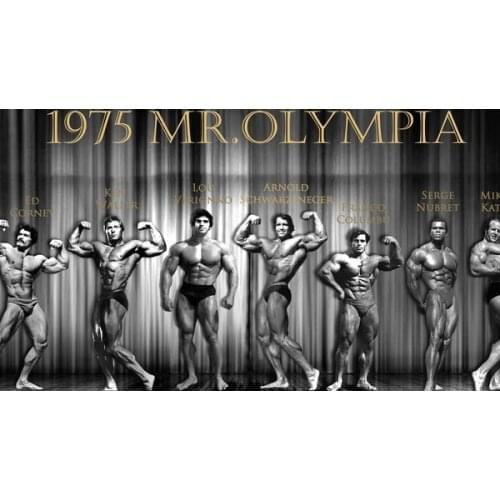 Body Building Keep Fit Muscle Exercise Work Out Art Film Print Silk Poster Home Wall Decor 24x36inch