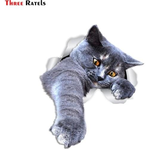 Three Ratels FTC-1053 Playing Grey Cat Wall DecalsGrey Shorthair Cat Toilet Sticker 3D Cat Car Window and Bumper Sticker