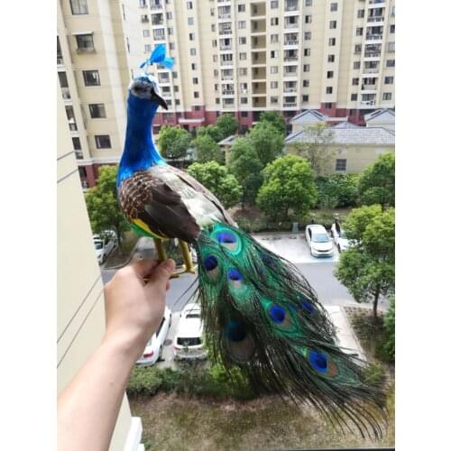 New real life peacock model foam&feather cute peacock bird gift about 45cm d0048