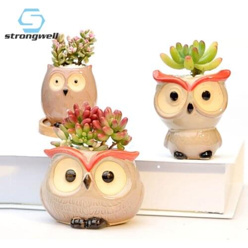 Strongwell Fairy Garden Decoration Ceramic Flower Pos Cute Owl Miniature Model Succulent Flower Pot Planter Desktop Decorations