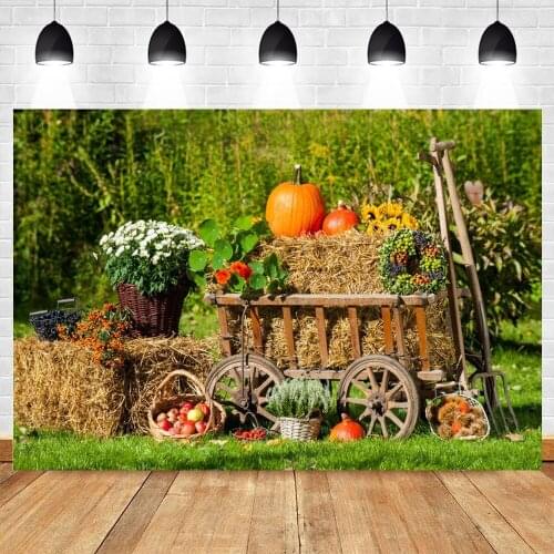 Autumn Cart Farm Field Pumpkin Hay Bales Baby Portrait Backdrop Photography Background Vinyl Photographic Photocall Photophone