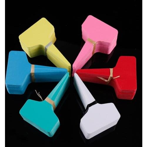 10Pcs Colorful Plant Markers Garden Bonsai Succulent Seedings Tags Sign PVC Gardening Labels Stake on Soil Paint Sticks