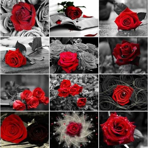 MomoArt Rose Diamond Painting Kits Sale 5D Diamond Mosaic Flowers Cross Stitch Art Painting New Arrival Decor For Home