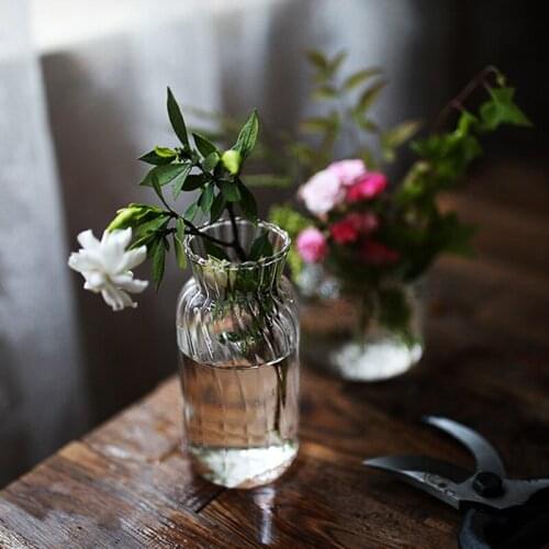 Table Vase Bottle Terrarium Container Flower Decor Glass Vase Plant Wall Transparents Clear Nordic Vase