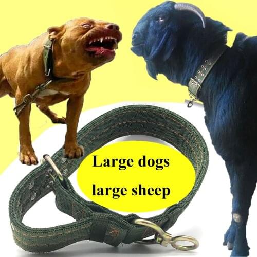 1PCS dog sheep pet belt collar canvas goat dogs pet veterinary farming strong canine buckle artifact halter rope home large siz