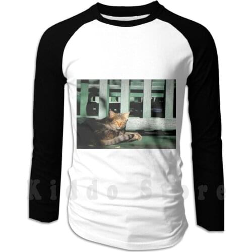 Sleepy Cat hoodies long sleeve Sleep Cat Animal Sunshine Lie Down Green Bench Shadow