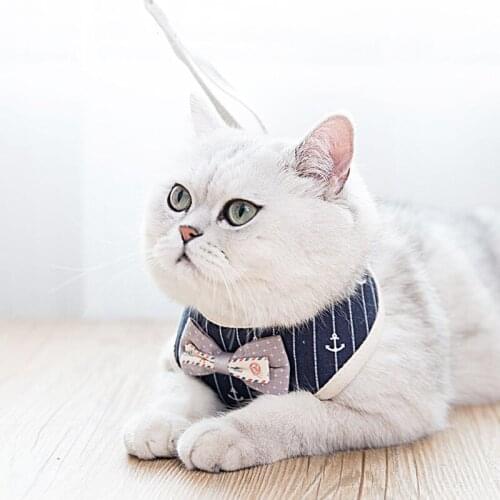 2021 new Pet Dog Harness Collar Adjustable Padded Medium Small Dog Bomei Chihuahua VIP kirkyVest Husky Dogs Supply s-l