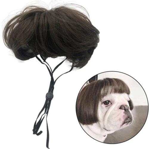 Dog Cosplay Wig For Small Dogs Pet Supplies Dance Accessories Dog Decorative Hair Funny Pet Small Dog Cat Costume 2021