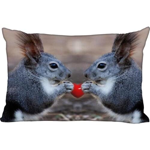 Custom Squirrel Pillowcase Bedroom Home Office Decorative Pillow Cover Fabric Rectangle Zipper Pillow Cases 40x60CM,50X75CM
