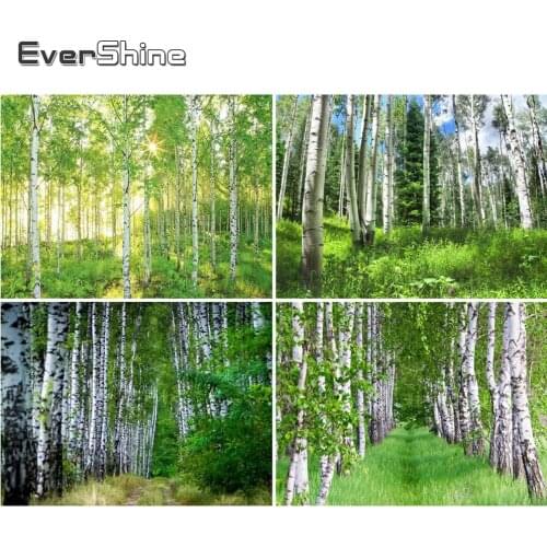 Evershine Diamond Painting White Birch Cross Stitch Kit Diamond Embroidery Landscape Beaded Full Square Diamond Mosaic Full Set