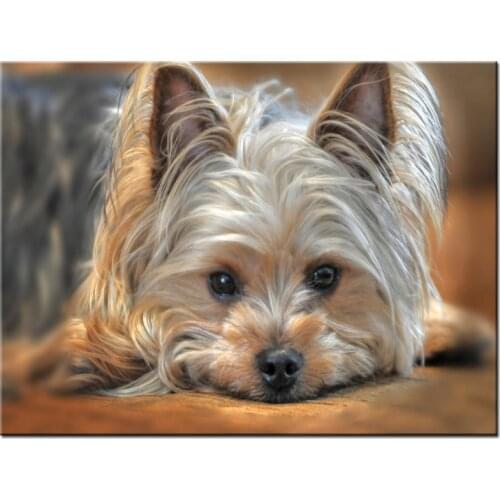 Terrier Dog Diy Diamond Paintin 5d Diamond Embroidery cute pet Pictures Of Rhinestone Full Square round Mosaic StickersZP-1478