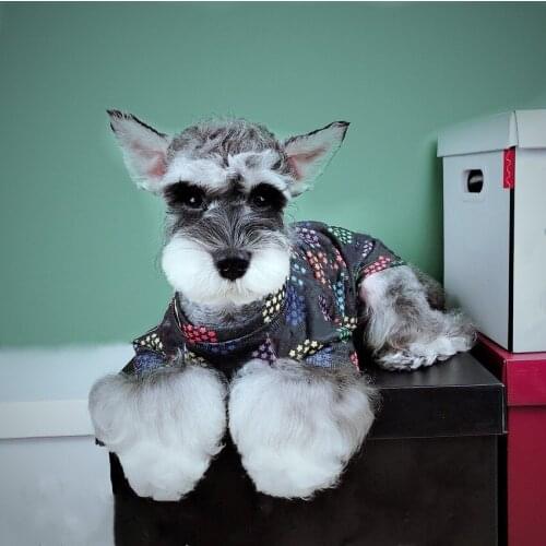 Fashion Pet Dog Sweater Jumper Winter Warm Clothes Pet Puppy Hoodie Pug Jacket Coat For Small Medium Dogs Pug Dropshipping EMC26