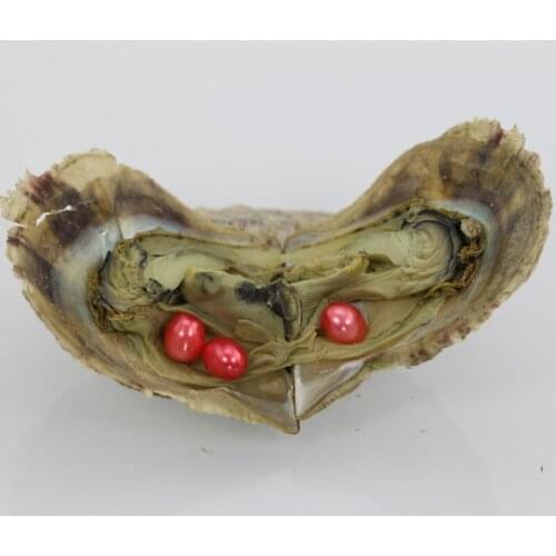 Trendy Hot Gift Red Pearls Triplets 6-7MM Rice Freshwater Pearls in Oysters with Vacuum Package For Women Jewelry 10pcs ABH726