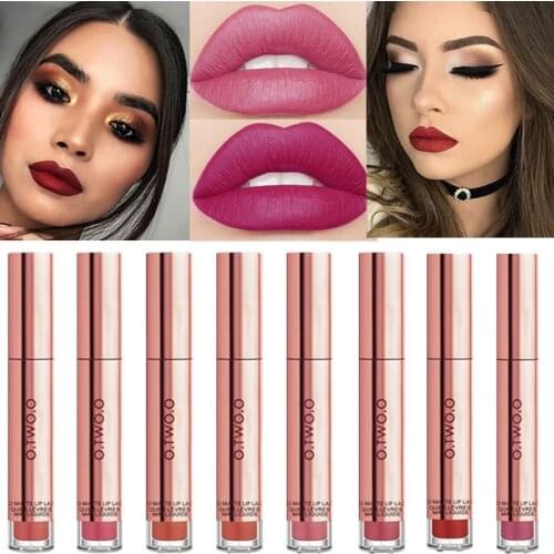 Waterproof Lip Gloss Velvet Matte Lipstick Long Lasting Pink Red ColorLip Gloss Lipsticks Beauty Cosmetics 12colors