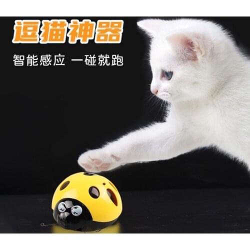 Catch me toy Catch Me If You Can Super Fun Cat Toy AAA Battery-Operated Pet Toy Pet Supplier