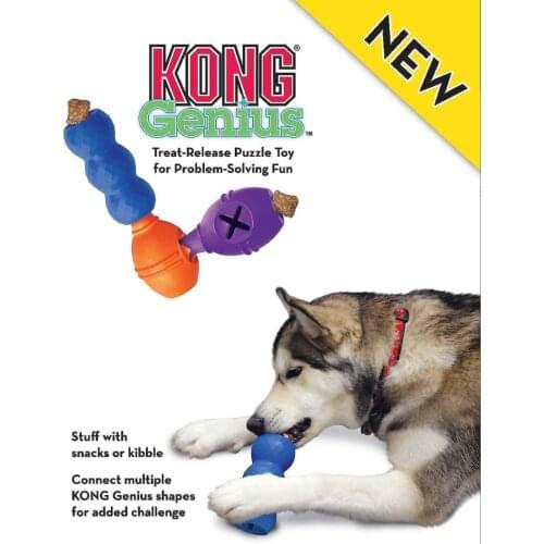 S-Size KONG Genius Leo Dog Toy, Color Varies